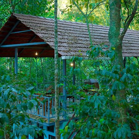Snow Hills Resorts Thekkady Luaran gambar