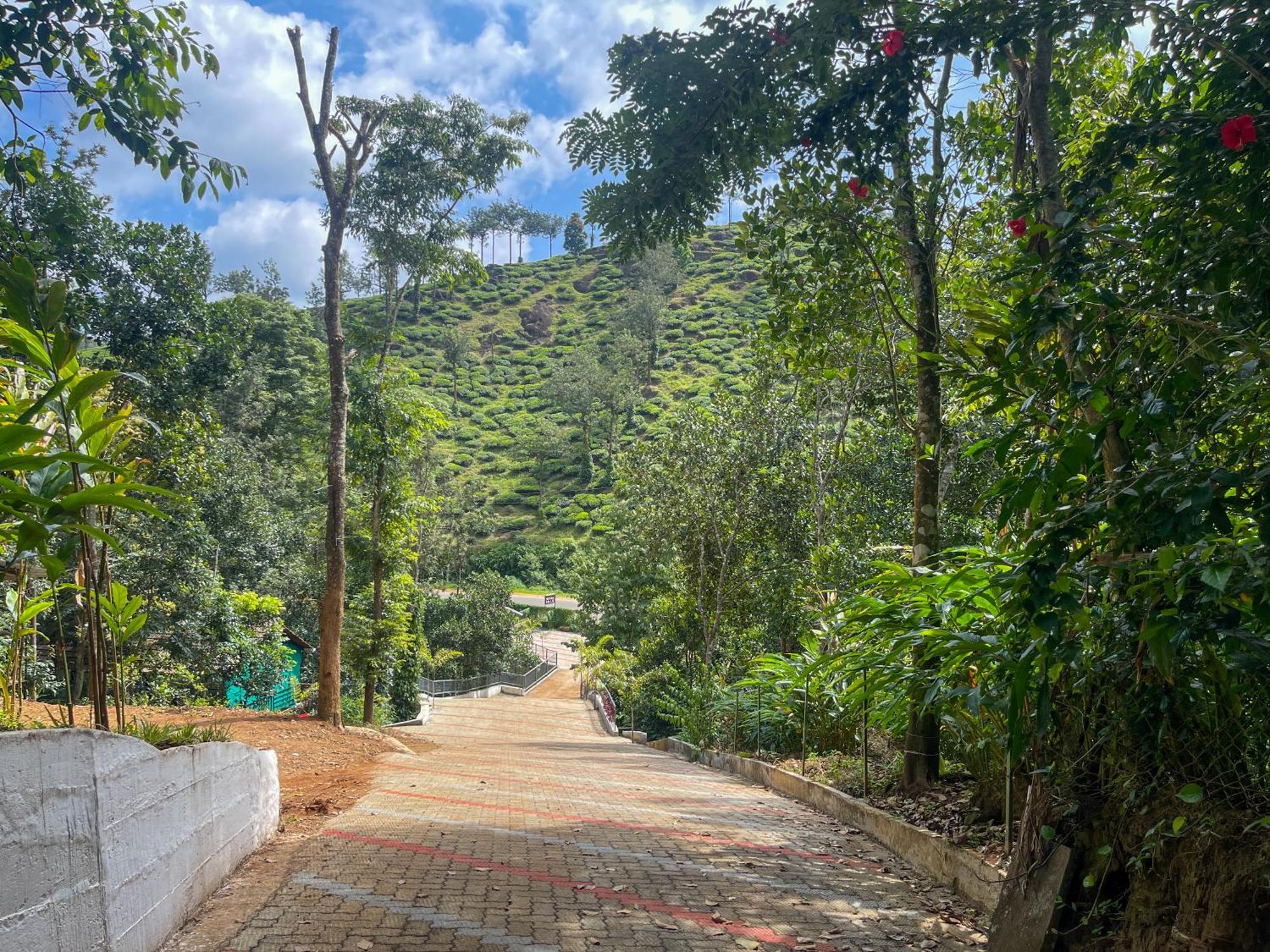 Snow Hills Resorts Thekkady Luaran gambar