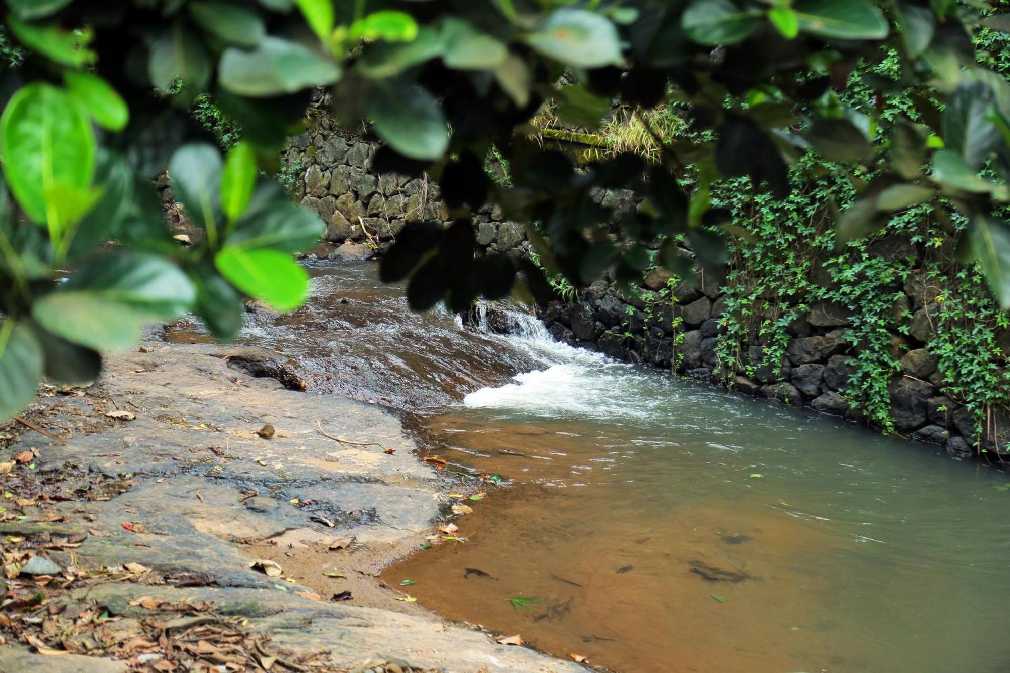 Snow Hills Resorts Thekkady Luaran gambar